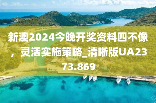 新澳2024今晚开奖资料四不像，灵活实施策略_清晰版UA2373.869