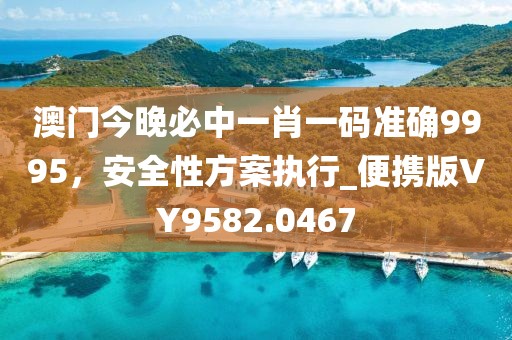 澳门今晚必中一肖一码准确9995，安全性方案执行_便携版VY9582.0467