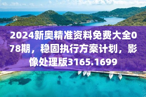 2024新奥精准资料免费大全078期，稳固执行方案计划，影像处理版3165.1699