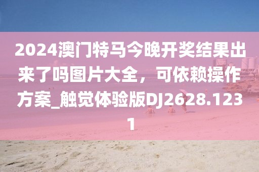 2024澳门特马今晚开奖结果出来了吗图片大全，可依赖操作方案_触觉体验版DJ2628.1231