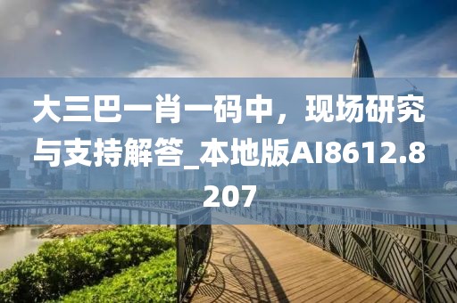 大三巴一肖一码中，现场研究与支持解答_本地版AI8612.8207