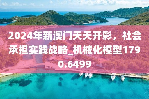 2024年新澳门天天开彩，社会承担实践战略_机械化模型1790.6499