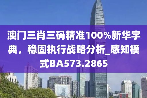 澳门三肖三码精准100%新华字典，稳固执行战略分析_感知模式BA573.2865