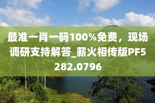 最准一肖一码100%免费，现场调研支持解答_薪火相传版PF5282.0796