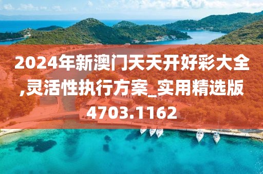 2024年新澳门天天开好彩大全,灵活性执行方案_实用精选版4703.1162