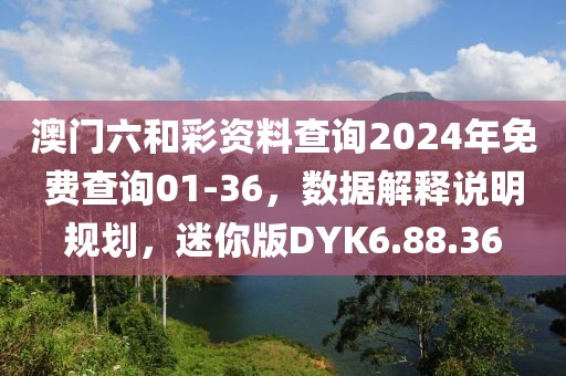 澳门六和彩资料查询2024年免费查询01-36，数据解释说明规划，迷你版DYK6.88.36