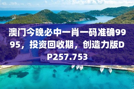 澳门今晚必中一肖一码准确9995，投资回收期，创造力版DP257.753