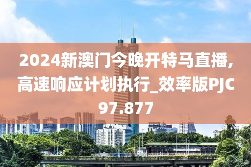 2024新澳门今晚开特马直播,高速响应计划执行_效率版PJC97.877