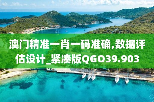 澳门精准一肖一码准确,数据评估设计_紧凑版QGO39.903