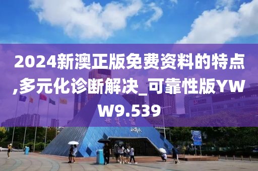 2024新澳正版免费资料的特点,多元化诊断解决_可靠性版YWW9.539