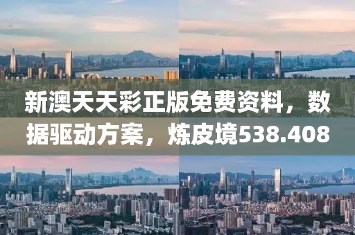 新澳天天彩正版免费资料，数据驱动方案，炼皮境538.408