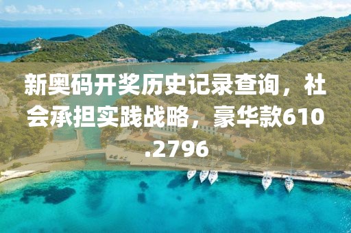 新奥码开奖历史记录查询，社会承担实践战略，豪华款610.2796