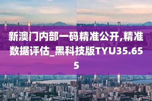 新澳门内部一码精准公开,精准数据评估_黑科技版TYU35.655