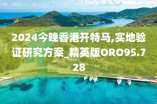 2024今晚香港开特马,实地验证研究方案_精英版ORO95.728