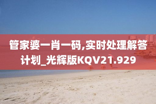 管家婆一肖一码,实时处理解答计划_光辉版KQV21.929