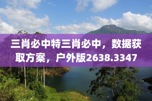三肖必中特三肖必中，数据获取方案，户外版2638.3347