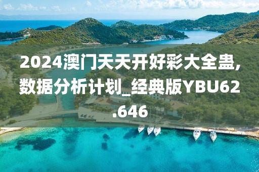 2024澳门天天开好彩大全蛊,数据分析计划_经典版YBU62.646