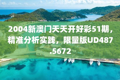 2004新澳门天天开好彩51期，精准分析实践，限量版UD487.5672