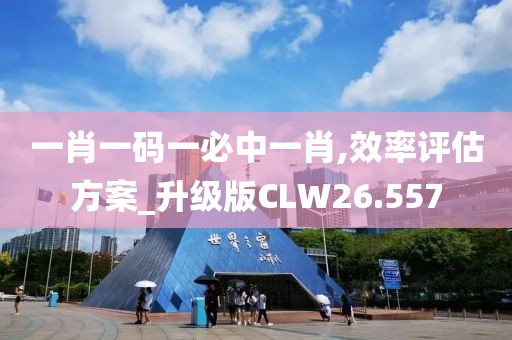 一肖一码一必中一肖,效率评估方案_升级版CLW26.557