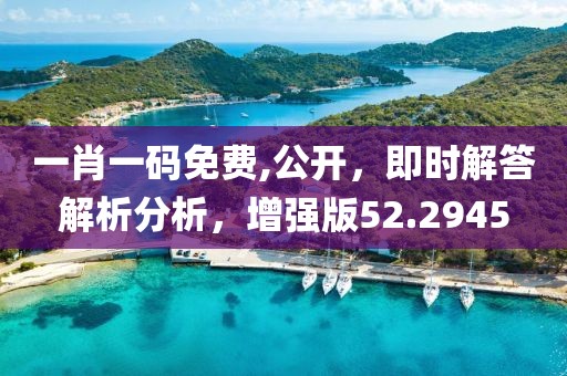 一肖一码免费,公开，即时解答解析分析，增强版52.2945