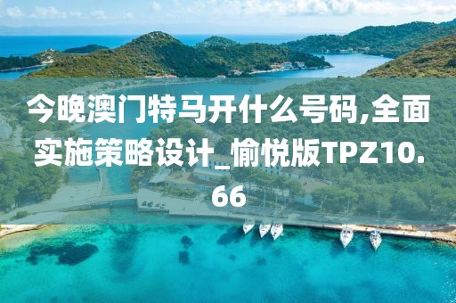 今晚澳门特马开什么号码,全面实施策略设计_愉悦版TPZ10.66