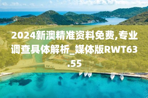 2024新澳精准资料免费,专业调查具体解析_媒体版RWT63.55