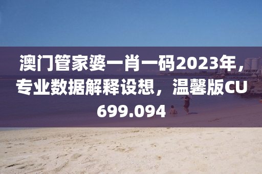 澳门管家婆一肖一码2023年，专业数据解释设想，温馨版CU699.094