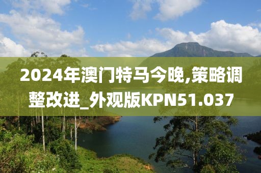 2024年澳门特马今晚,策略调整改进_外观版KPN51.037