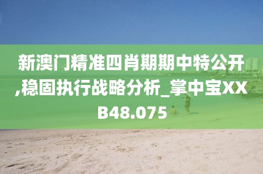 新澳门精准四肖期期中特公开,稳固执行战略分析_掌中宝XXB48.075
