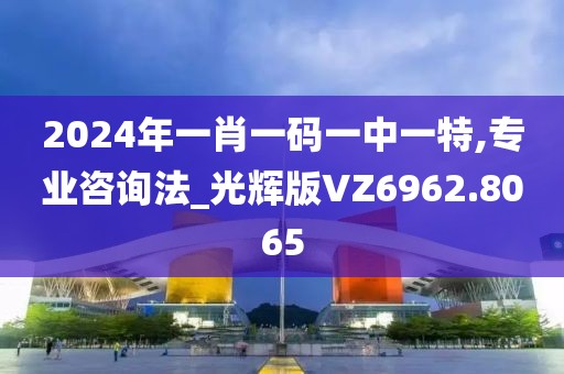 2024年一肖一码一中一特,专业咨询法_光辉版VZ6962.8065