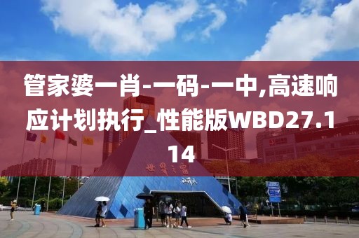 管家婆一肖-一码-一中,高速响应计划执行_性能版WBD27.114