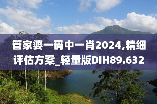 管家婆一码中一肖2024,精细评估方案_轻量版DIH89.632