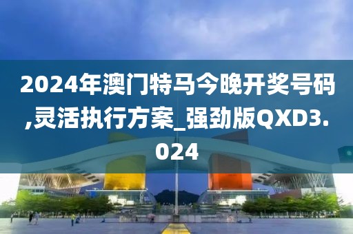 2024年澳门特马今晚开奖号码,灵活执行方案_强劲版QXD3.024