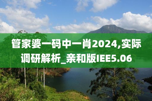管家婆一码中一肖2024,实际调研解析_亲和版IEE5.06