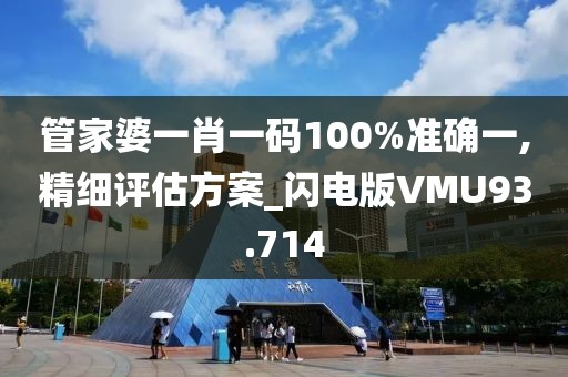 管家婆一肖一码100%准确一,精细评估方案_闪电版VMU93.714