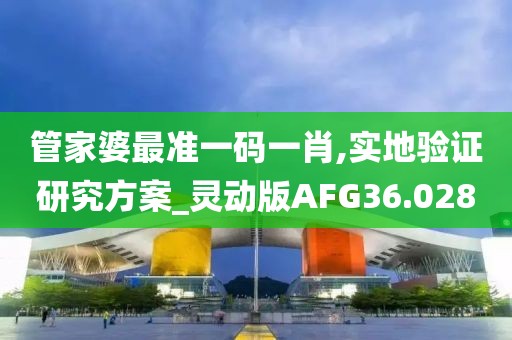 管家婆最准一码一肖,实地验证研究方案_灵动版AFG36.028