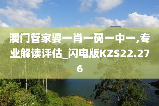 澳门管家婆一肖一码一中一,专业解读评估_闪电版KZS22.276