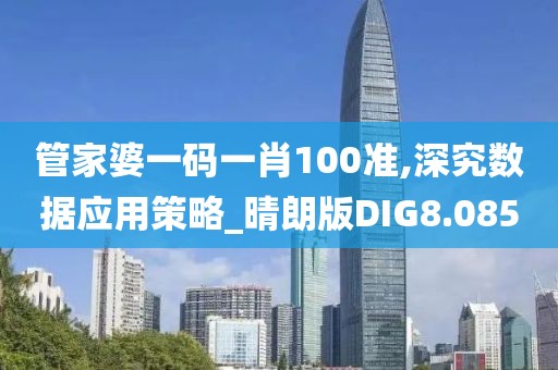 管家婆一码一肖100准,深究数据应用策略_晴朗版DIG8.085