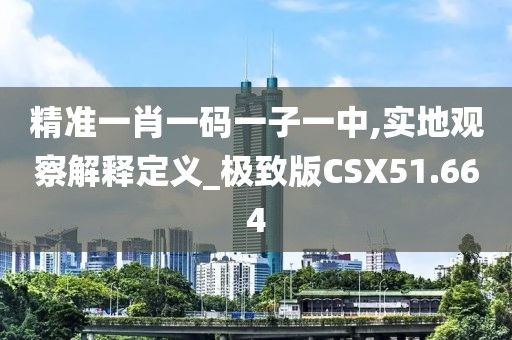精准一肖一码一子一中,实地观察解释定义_极致版CSX51.664