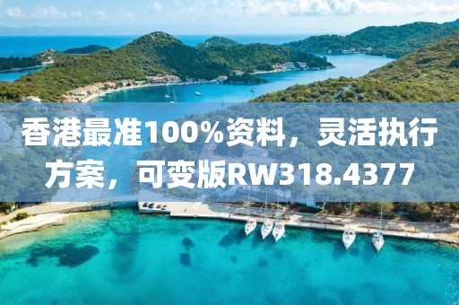 香港最准100%资料，灵活执行方案，可变版RW318.4377