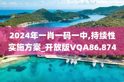 2024年一肖一码一中,持续性实施方案_开放版VQA86.874