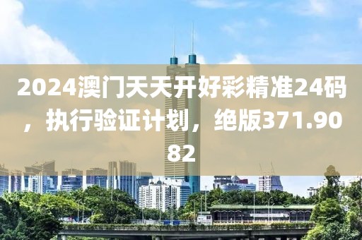 2024澳门天天开好彩精准24码,执行验证计划,绝版371.9082