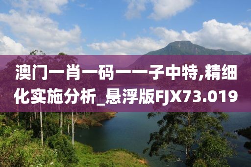 澳门一肖一码一一子中特,精细化实施分析_悬浮版FJX73.019