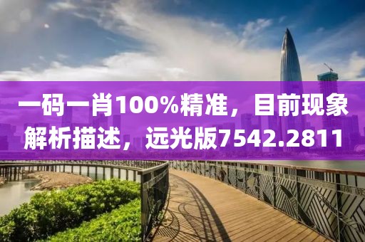 一码一肖100%精准，目前现象解析描述，远光版7542.2811