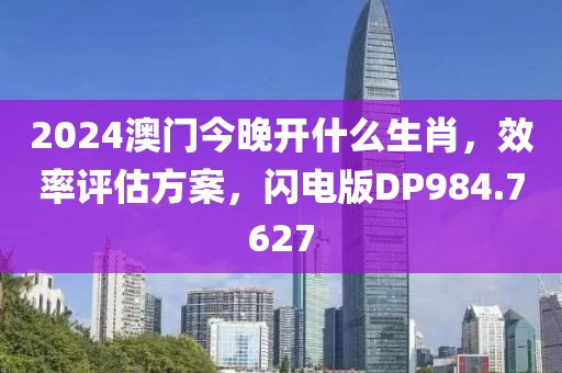 2024澳门今晚开什么生肖，效率评估方案，闪电版DP984.7627