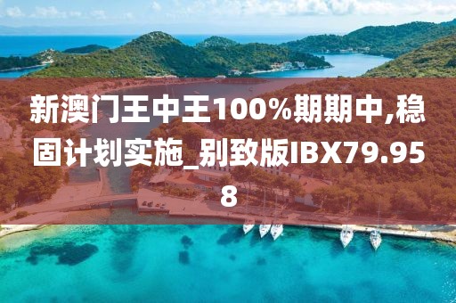 新澳门王中王100%期期中,稳固计划实施_别致版IBX79.958
