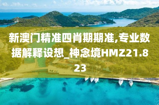 新澳门精准四肖期期准,专业数据解释设想_神念境HMZ21.823