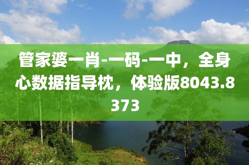 管家婆一肖-一码-一中，全身心数据指导枕，体验版8043.8373