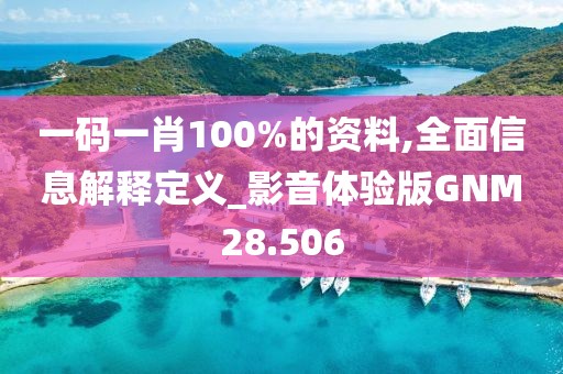 一码一肖100%的资料,全面信息解释定义_影音体验版GNM28.506