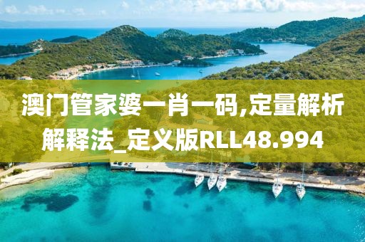 澳门管家婆一肖一码,定量解析解释法_定义版RLL48.994